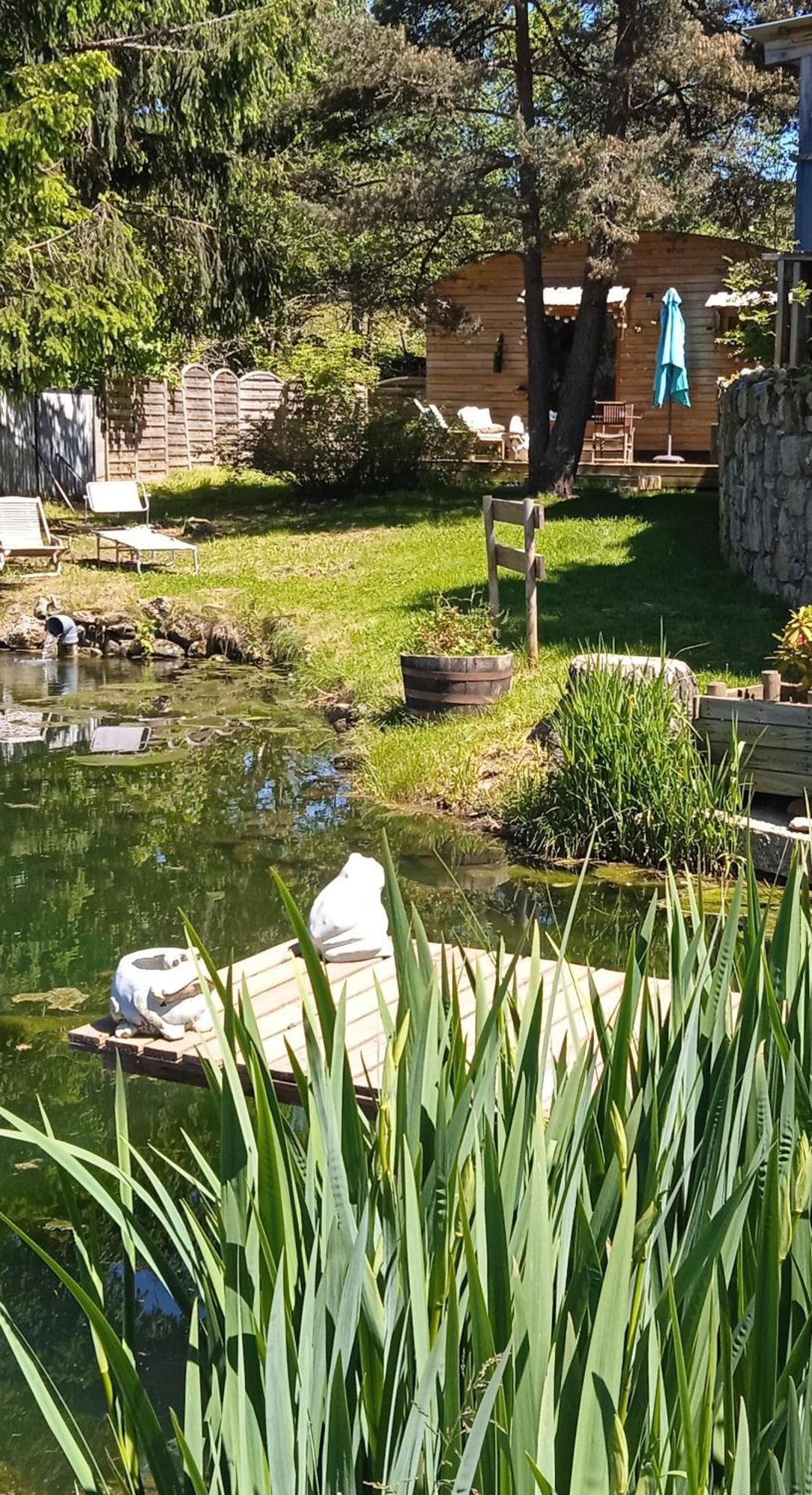 Chalet Grenouille Domaine De La Mamounette Champclause Eksteriør billede