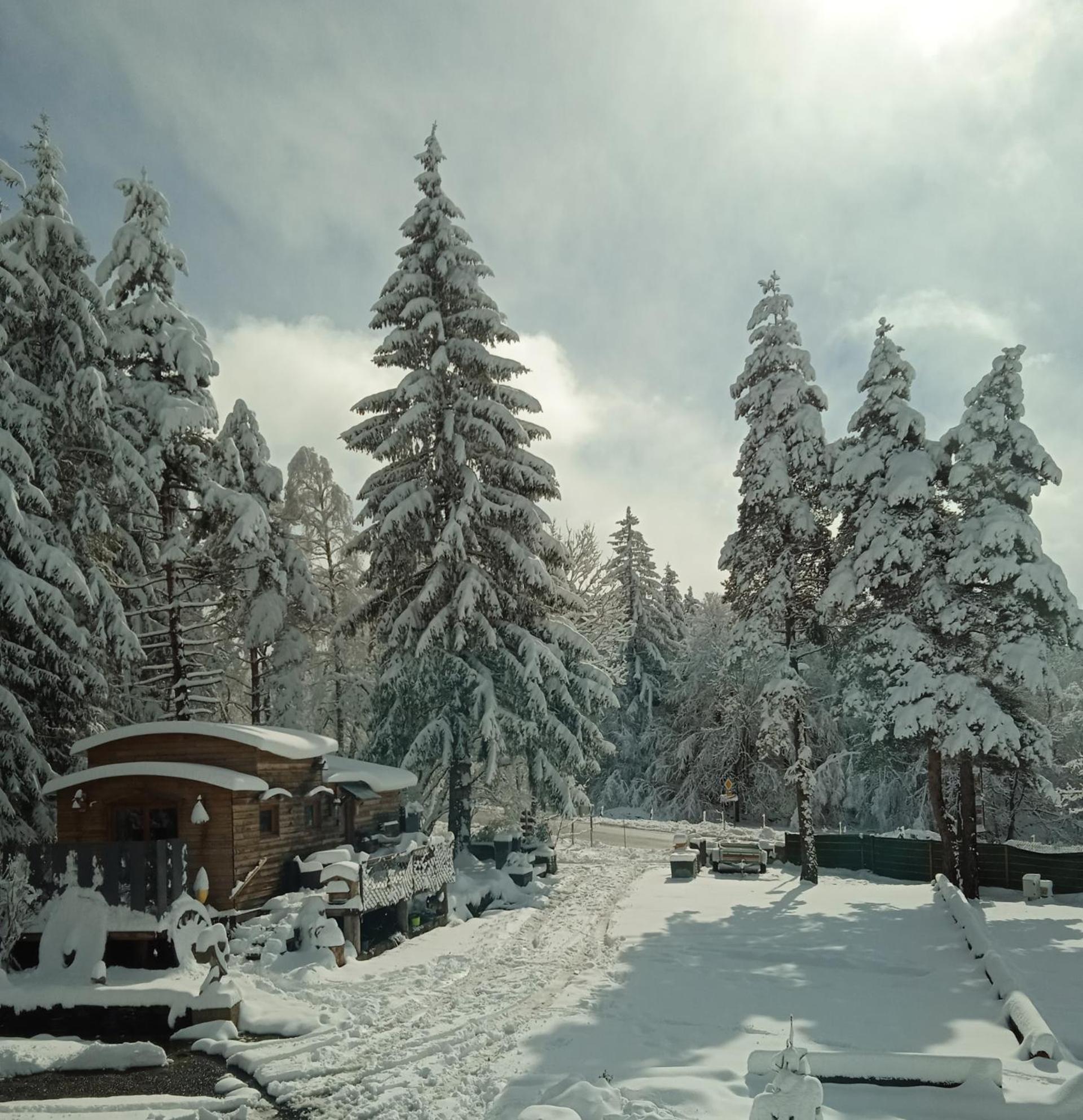 Chalet Grenouille Domaine De La Mamounette Champclause Eksteriør billede