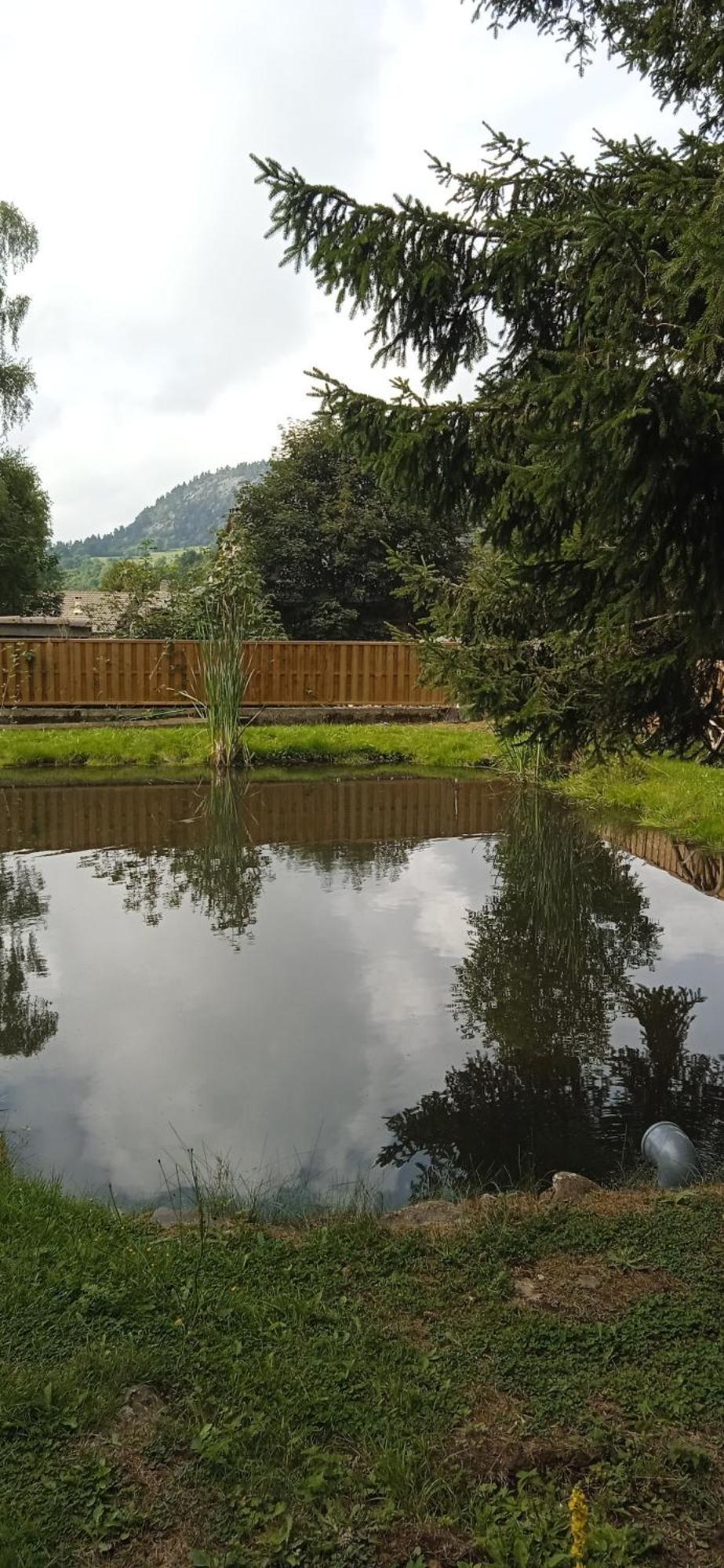 Chalet Grenouille Domaine De La Mamounette Champclause Eksteriør billede
